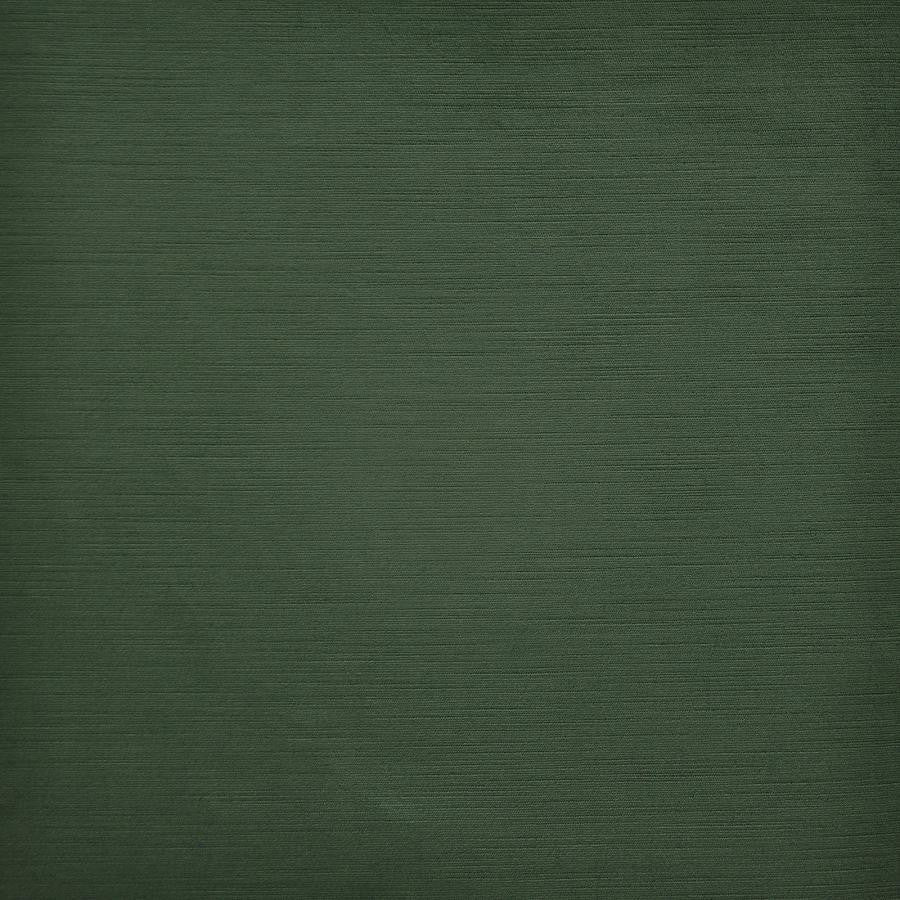 Barrymore # 735 Eucalyptus by Maxwell Designer Fabric Velvet Room 100% POLYESTER TURKEY 54" - Swanky Fabrics -