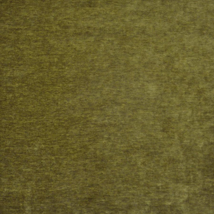 Bouton # 717 Avocado by Maxwell Designer Fabric Performance Wovens-Vol. V Paintbrush 100% POLYESTER CHINA 56" - Swanky Fabrics -