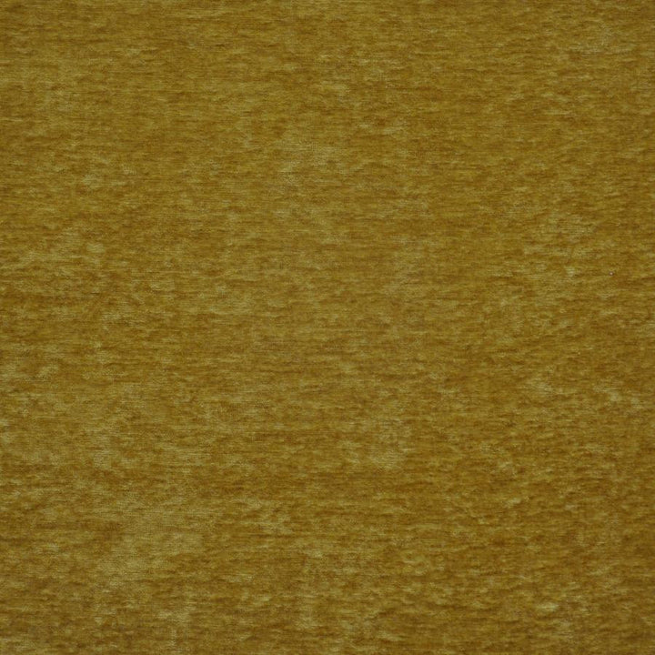 Bouton # 733 Gold by Maxwell Fabric Performance Wovens-Vol. V Paintbrush 100% POLYESTER CHINA 56" - Fabric Carolina -