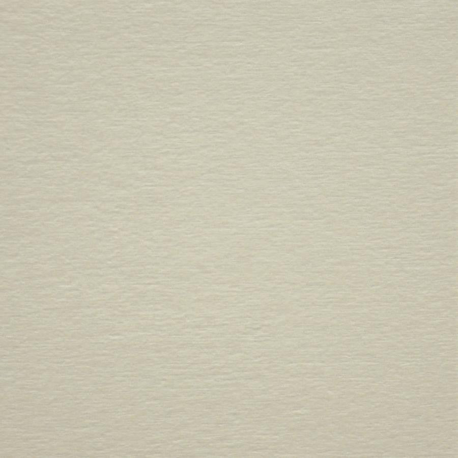 Bouton # 929 Swan by Maxwell Fabric Performance Wovens-Vol. V Silver Sun 100% POLYESTER CHINA 56" - Fabric Carolina -