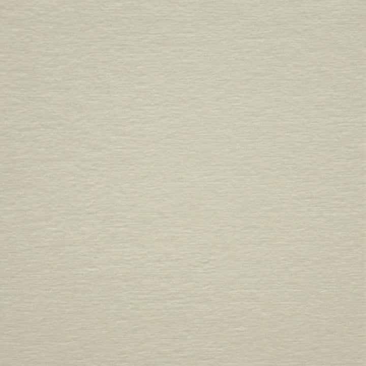 Bouton # 929 Swan by Maxwell Fabric Performance Wovens-Vol. V Silver Sun 100% POLYESTER CHINA 56" - Fabric Carolina -