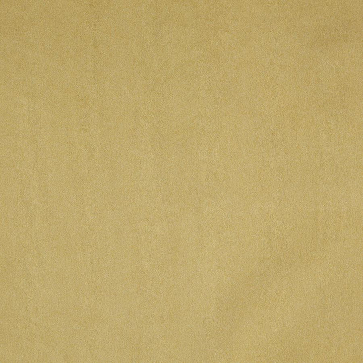 Billiard # 18 Hay by Maxwell Fabric Performance Velvets-Vol.Iii 100% POLYESTER TURKEY 54" - Fabric Carolina -