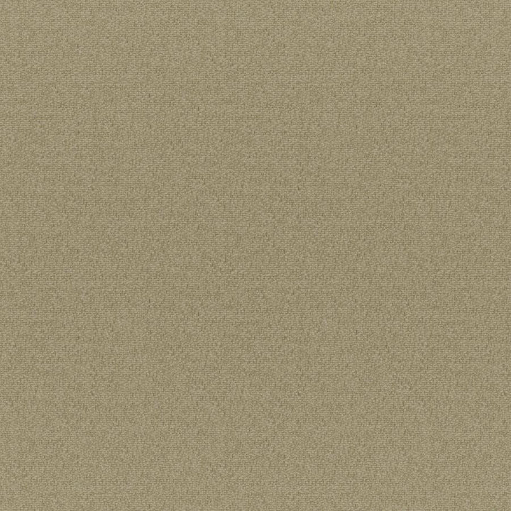 Bruno # 213 Dune by Maxwell Fabric Colorguard-Nougat 100% POLYESTER CHINA 55.9" - Fabric Carolina -