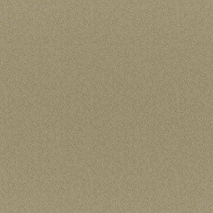 Bruno # 213 Dune by Maxwell Fabric