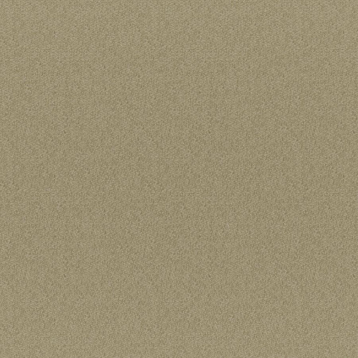 Bruno # 213 Dune by Maxwell Designer Fabric Colorguard-Nougat 100% POLYESTER CHINA 55.9" - Swanky Fabrics -
