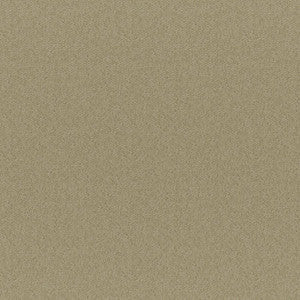 Bruno # 213 Dune by Maxwell Fabric