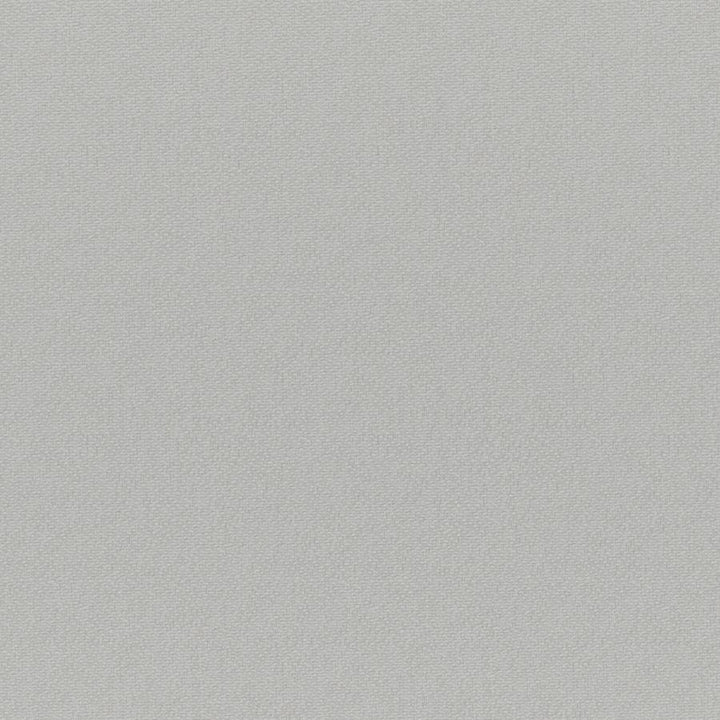 Bruno # 236 Oyster by Maxwell Fabric Colorguard-Nougat 100% POLYESTER CHINA 55.9" - Fabric Carolina -