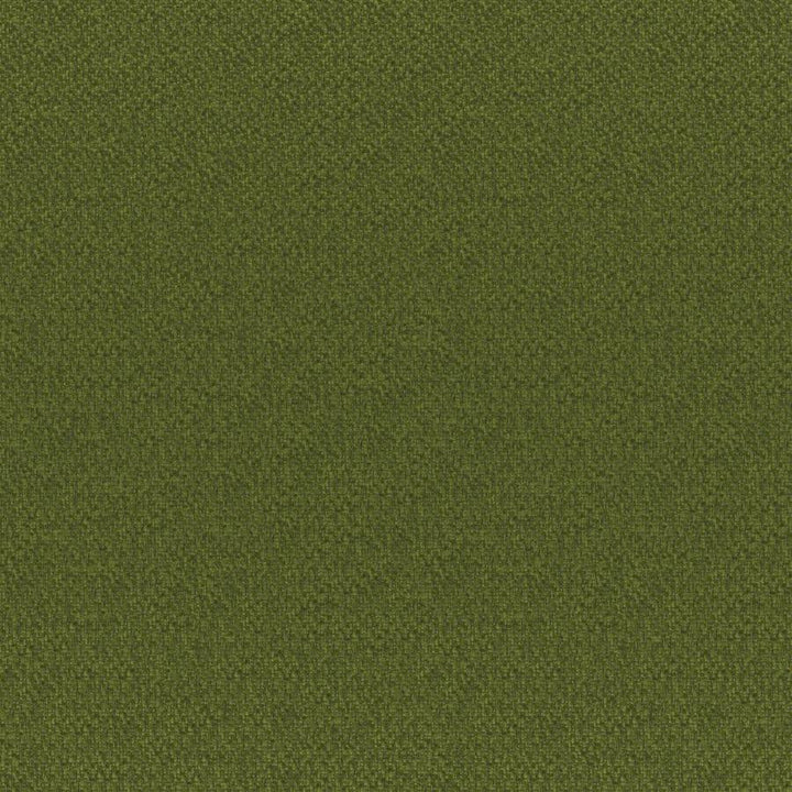 Bruno # 835 Palm by Maxwell Fabric Colorguard-Amazonia 100% POLYESTER CHINA 55.9" - Fabric Carolina -