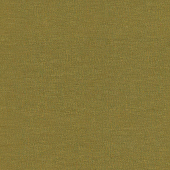 Beaton-Nj # 715 Cactus by Maxwell Fabric Memos Only-Coated Fabrics FACE: 100% SILICONE
BACKING: 100% POLYESTER KOREA 54" - Fabric Carolina -