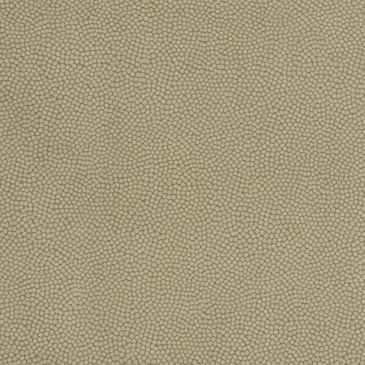 Beautymark Greystone by Kravet Couture Fabric Kravet Couture Fabric Beautymark GreystoneFabric NYLON - 100% Japan </p><p>Repeat: H: 4, V: 10 54 - Fabric Carolina -