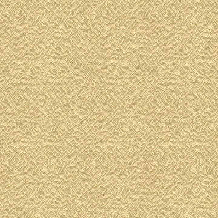 Beautymark Sand by Kravet Couture Fabric NYLON - 100% Japan HEAVY Horizontal: 4 and Vertical: 10 54 - Fabric Carolina -
