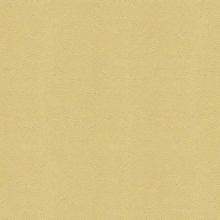 Beautymark Fog by Kravet Couture Fabric - NYLON - 100% Japan HEAVY Horizontal: 4 and Vertical: 10 54 - Fabric Carolina -