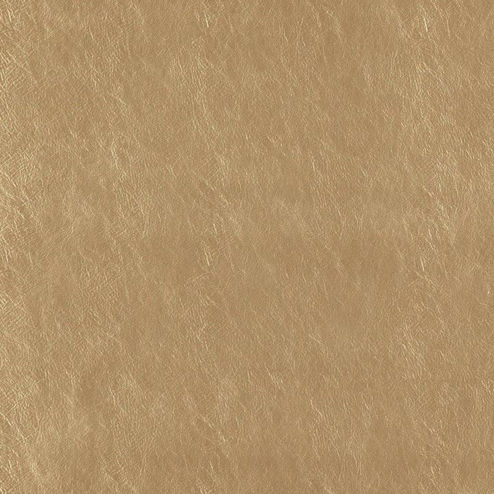 Beauty 14J7361 by JF Designer Fabric Tannery Basics Book 71% Polyvinyl Chloride, 26% Polyester, 3% Polyurethane Turkey 200000 Horizontal: and Vertical: 54 - Swanky Fabrics -