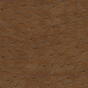 Beck Sumatra by Norbar Fabric EUREKA POLY VINYL KOREA 60,000 WYZENBEEK </p><p>Repeat: 53"" - Fabric Carolina -