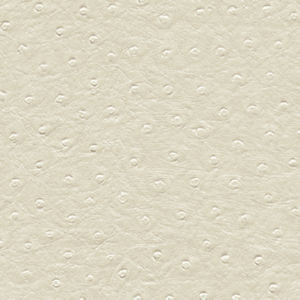 Beck White by Norbar Fabric EUREKA POLY VINYL KOREA 60,000 WYZENBEEK </p><p>Repeat: 53"" - Fabric Carolina -