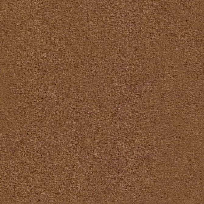 Boyden-Nj # 927 Sycamore by Maxwell Fabric Memos Only-Coated Fabrics FACE: 100% PVC
BACKING: 100% POLYESTER KOREA 54" - Fabric Carolina -
