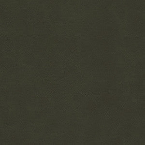 Boyden-Nj # 929 Guerrila by Maxwell Fabric
