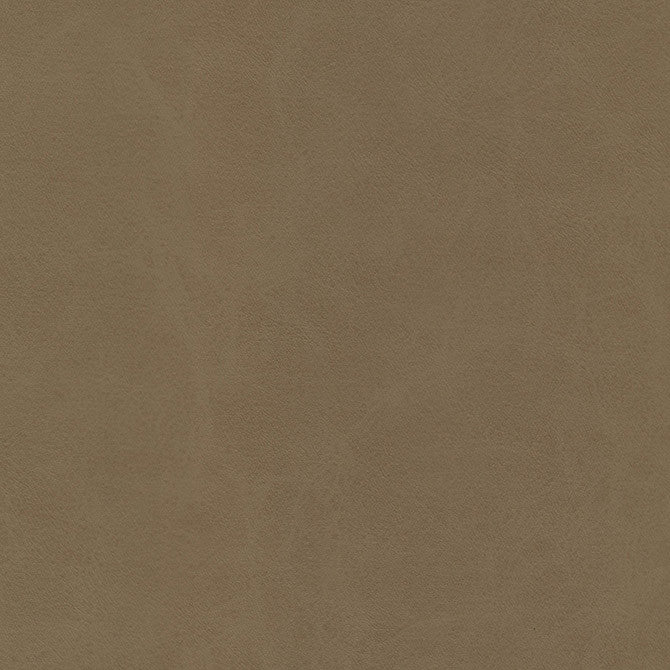 Boyden-Nj # 935 Sage by Maxwell Designer Fabric Memos Only-Coated Fabrics FACE: 100% PVC
BACKING: 100% POLYESTER KOREA 54" - Swanky Fabrics -