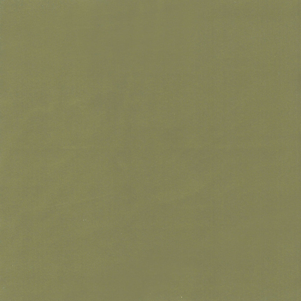 Beechwood 15 Pistachio by Marcus William Fabric Marcus William Fabric Beechwood 15 PistachioFabric Kai/Marcus William Koji 100%Pol India </p><p>Repeat: H: 0, V: 0 55 in - Fabric Carolina -