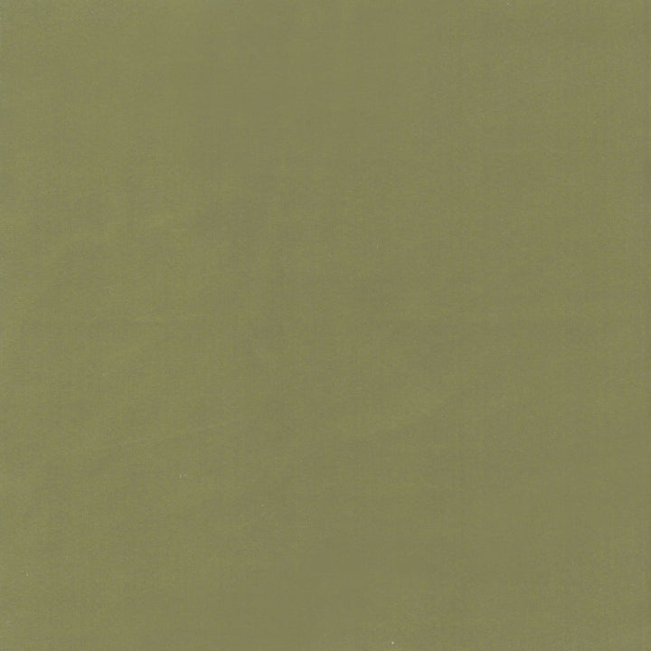 Beechwood 15 Pistachio by Marcus William Fabric Marcus William Fabric Beechwood 15 PistachioFabric Kai/Marcus William Koji 100%Pol India </p><p>Repeat: H: 0, V: 0 55 in - Fabric Carolina -