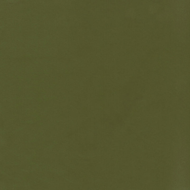 Beechwood 21 Basil by Marcus William Fabric Marcus William Fabric Beechwood 21 BasilFabric KAI/MARCUS WILLIAM KOJI 100%POL INDIA </p><p>Repeat: H: 0.000, V: 0.000 55 in - Fabric Carolina -