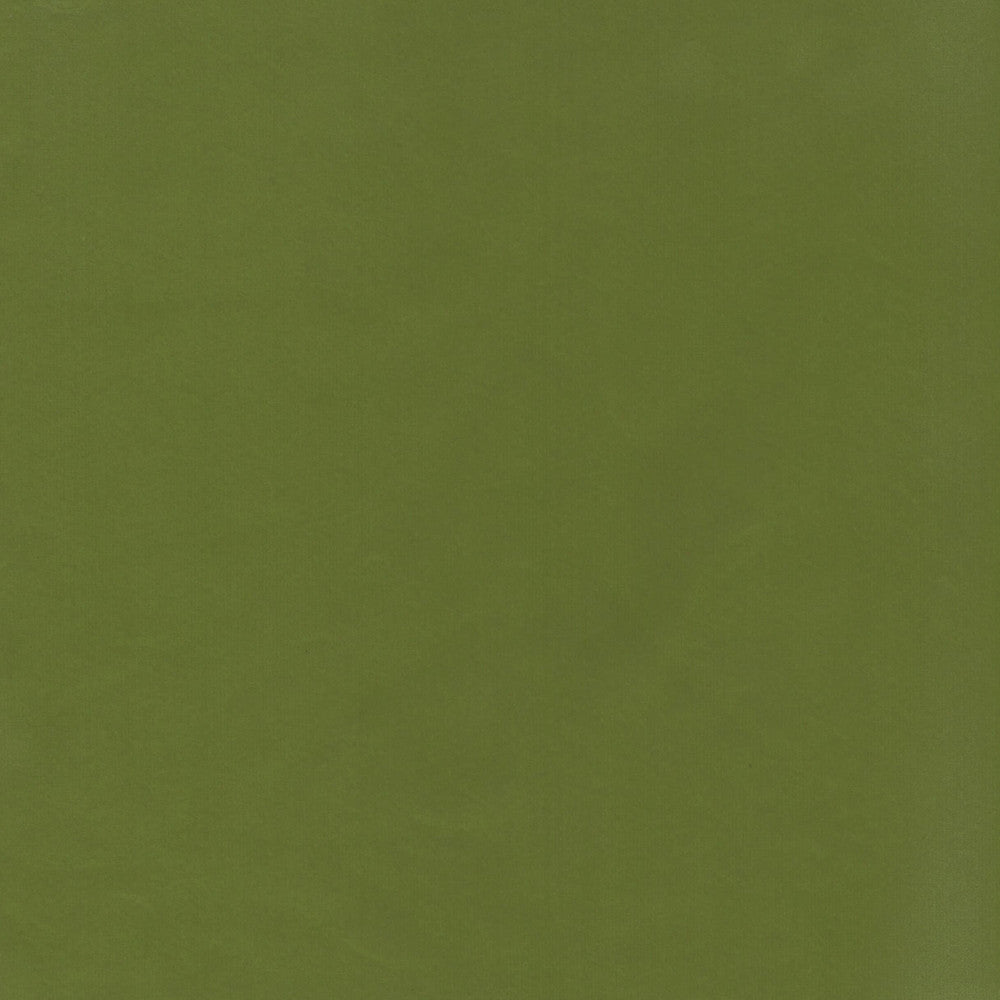 Beechwood 36 Dill by Marcus William Fabric Marcus William Fabric Beechwood 36 DillFabric KAI/MARCUS WILLIAM KOJI 100%POL INDIA </p><p>Repeat: H: 0.000, V: 0.000 55 in - Fabric Carolina -