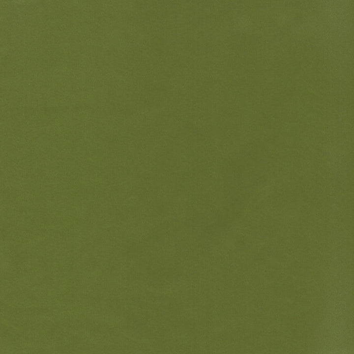 Beechwood 36 Dill by Marcus William Fabric Marcus William Fabric Beechwood 36 DillFabric KAI/MARCUS WILLIAM KOJI 100%POL INDIA </p><p>Repeat: H: 0.000, V: 0.000 55 in - Fabric Carolina -