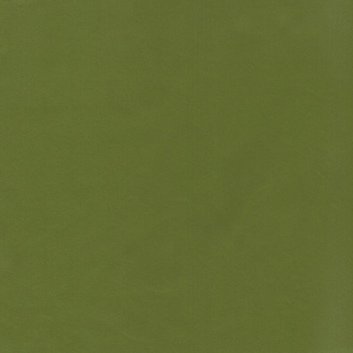 Beechwood 36 Dill by Marcus William Fabric Marcus William Fabric Beechwood 36 DillFabric Kai/Marcus William Koji 100%Pol India </p><p>Repeat: H: 0, V: 0.125 55 in - Fabric Carolina -