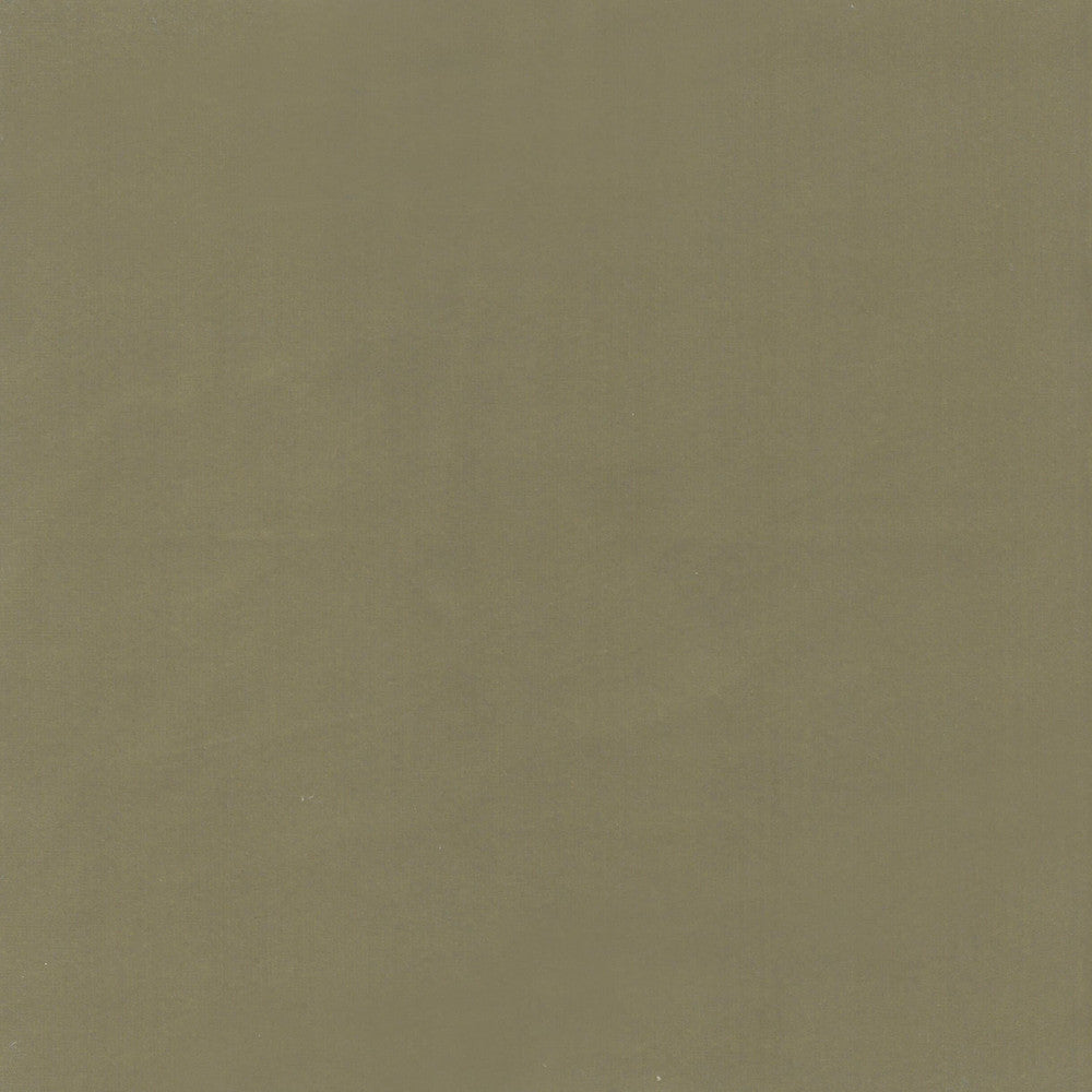 Beechwood 4 Chive by Marcus William Fabric Marcus William Fabric Beechwood 4 ChiveFabric Kai/Marcus William Botanical Escape 100%Pol India </p><p>Repeat: H: 0, V: 0 55 in - Fabric Carolina -