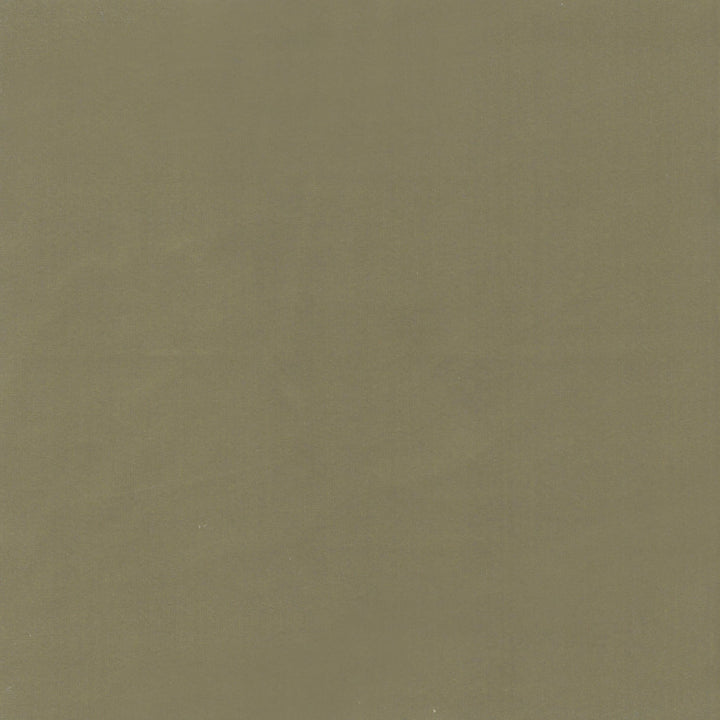Beechwood 4 Chive by Marcus William Fabric Marcus William Fabric Beechwood 4 ChiveFabric Kai/Marcus William Botanical Escape 100%Pol India </p><p>Repeat: H: 0, V: 0 55 in - Fabric Carolina -