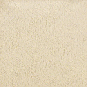 Buckeye # 702 Marshmallow by Maxwell Fabric