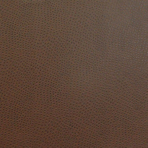 Buckeye # 719 Fudge by Maxwell Fabric