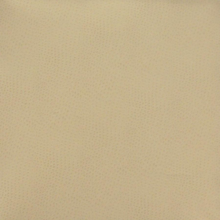 Buckeye # 764 Sand by Maxwell Fabric Easy Rider Viii FACE: 100% POLYURETHANE (POLYCARBONATE)
BACKING: 100% POLYESTER KOREA 54" - Fabric Carolina -