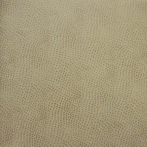 Buckeye # 766 Haze by Maxwell Fabric