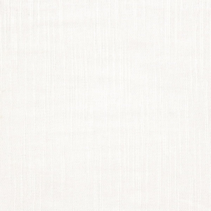 Behavior 2 Snow by Stout Fabric SHEER PLEASURE 60%SVI 40%POL TURKEY Horizontal: 0 and Vertical: 0 118 in - Fabric Carolina -