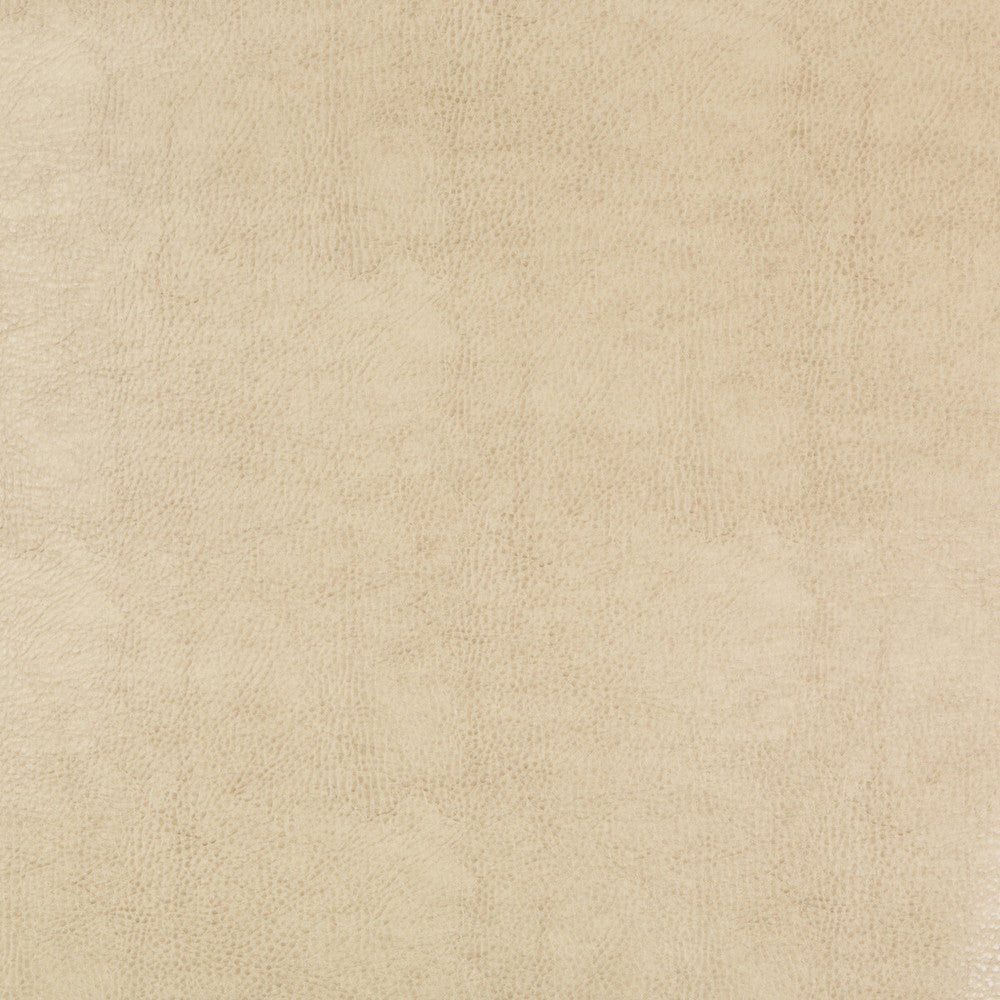 Beholder-116 by Kravet Design Designer Fabric - POLY VINYL CHLORIDE - 79%;POLYESTER - 21% China HEAVY Horizontal: 0 and Vertical: 0 54 - Swanky Fabrics -