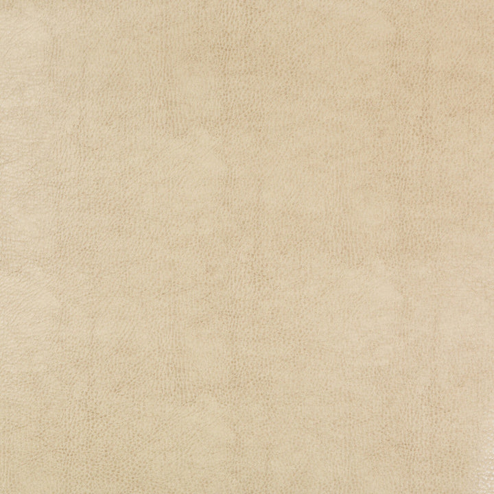 Beholder-116 by Kravet Design Designer Fabric - POLY VINYL CHLORIDE - 79%;POLYESTER - 21% China HEAVY Horizontal: 0 and Vertical: 0 54 - Swanky Fabrics -