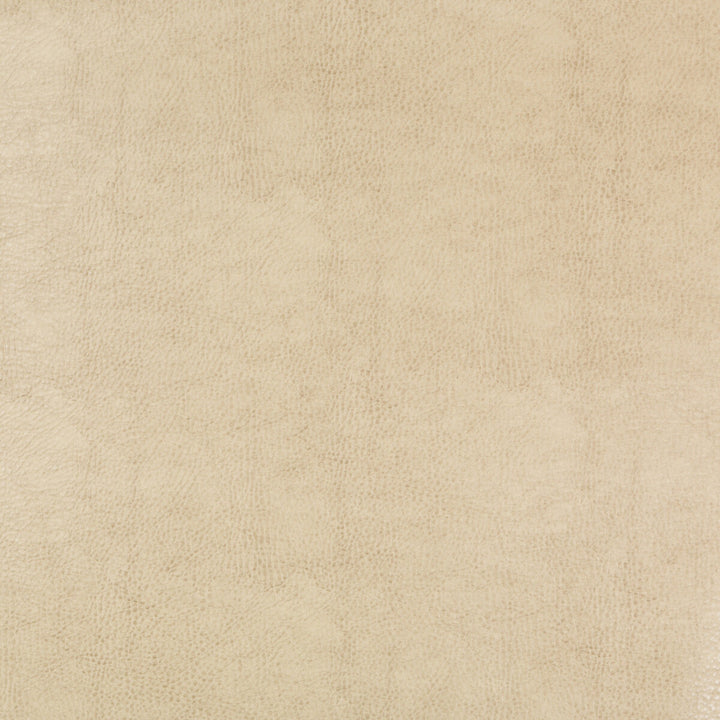 Beholder-116 by Kravet Design Fabric - POLY VINYL CHLORIDE - 79%;POLYESTER - 21% China HEAVY Horizontal: 0 and Vertical: 0 54 - Fabric Carolina -