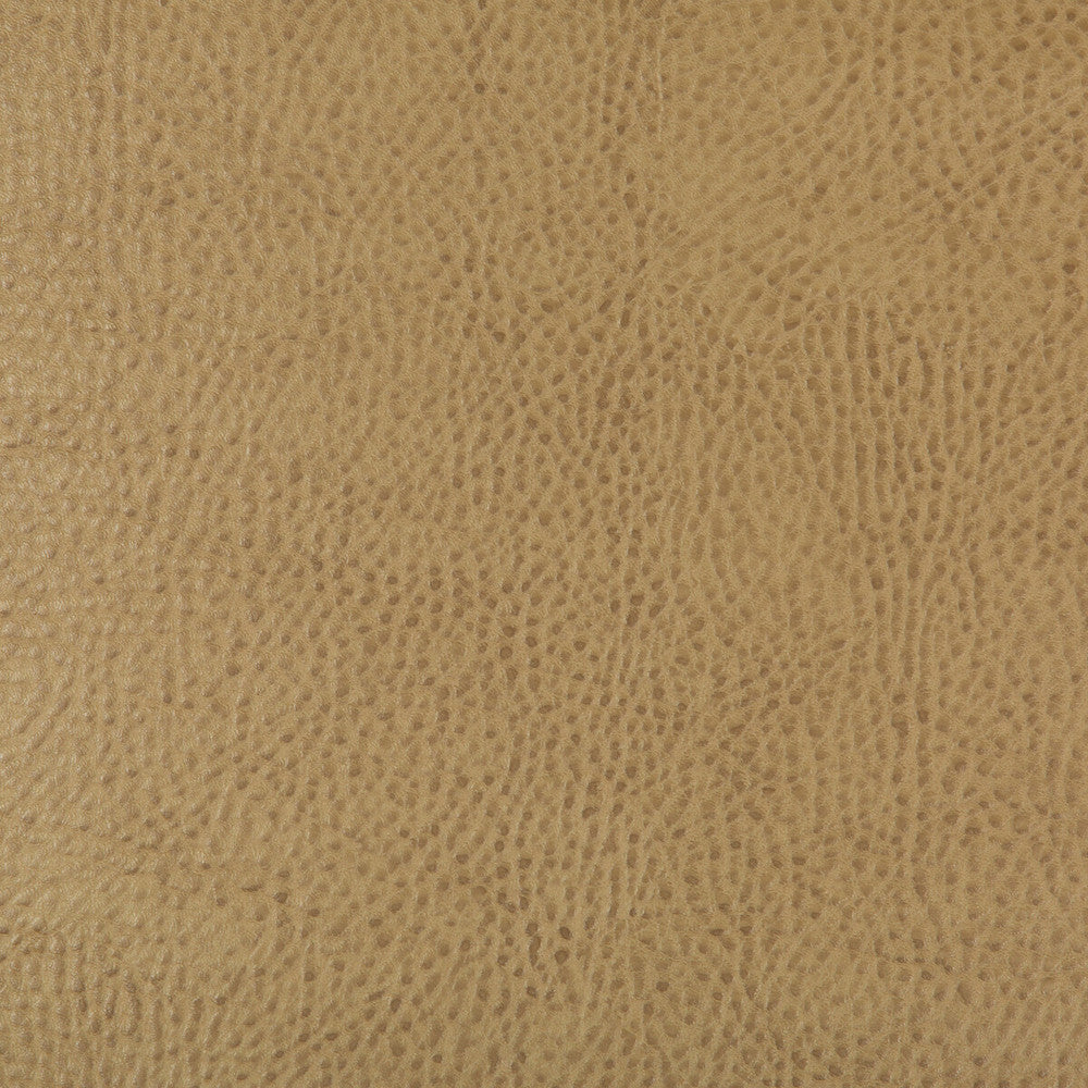 Kravet Design Beholder-16 by Kravet Design Fabric Kravet Design Fabric Kravet Design Beholder-16Fabric POLY VINYL CHLORIDE - 79%;POLYESTER - 21% China </p><p>Repeat: H: 0, V: 0 54 - Fabric Carolina -