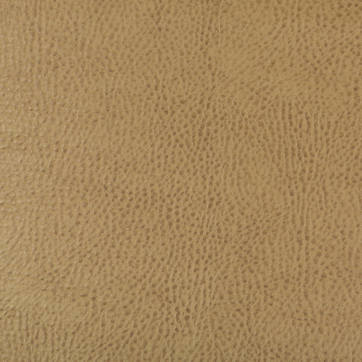 Kravet Design Beholder-16 by Kravet Design Fabric Kravet Design Fabric Kravet Design Beholder-16Fabric POLY VINYL CHLORIDE - 79%;POLYESTER - 21% China </p><p>Repeat: H: 0, V: 0 54 - Fabric Carolina -