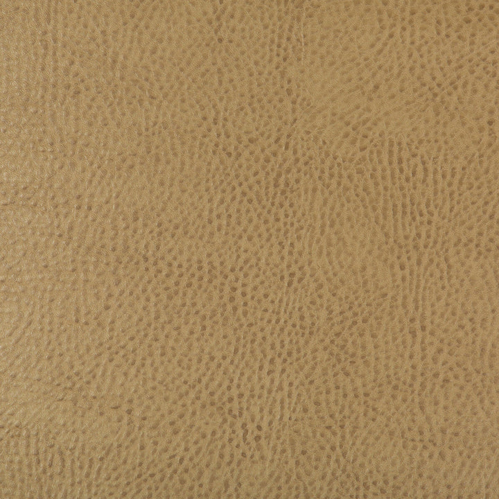 Beholder-16 by Kravet Design Designer Fabric POLY VINYL CHLORIDE - 79%;POLYESTER - 21% China HEAVY Horizontal: 0 and Vertical: 0 54 - Swanky Fabrics -