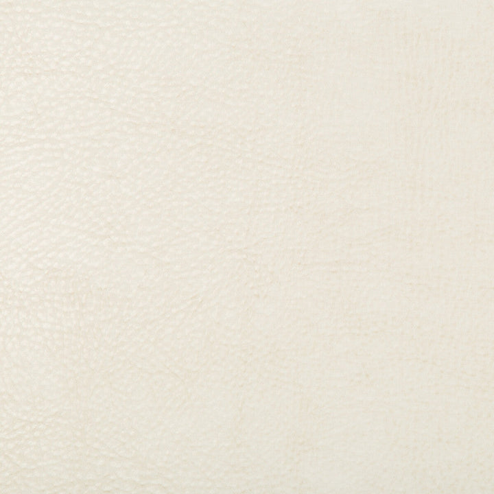 Kravet Design Beholder-1 by Kravet Design Fabric Kravet Design Fabric Kravet Design Beholder-1Fabric POLY VINYL CHLORIDE - 79%;POLYESTER - 21% China </p><p>Repeat: H: 0, V: 0 54 - Fabric Carolina -