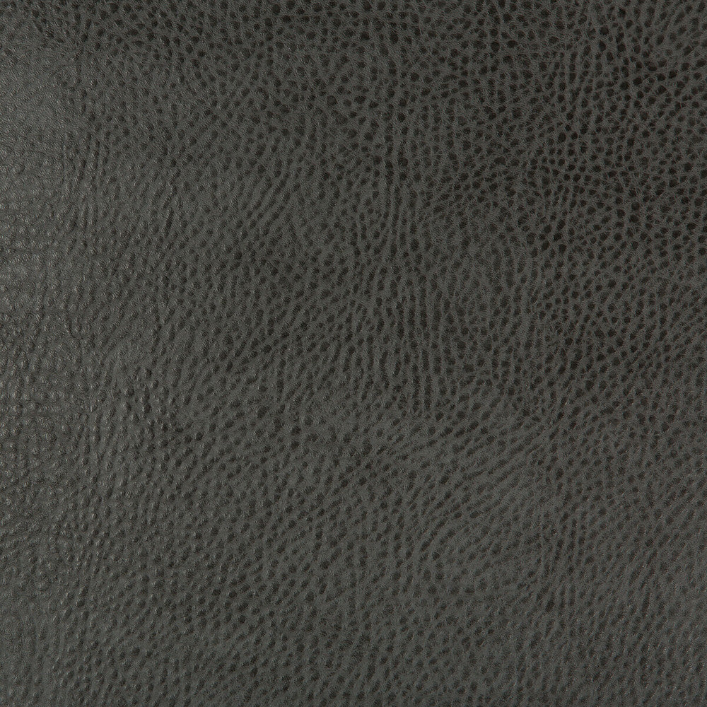 Beholder-21 by Kravet Design Designer Fabric - POLY VINYL CHLORIDE - 79%;POLYESTER - 21% China HEAVY Horizontal: 0 and Vertical: 0 54 - Swanky Fabrics -