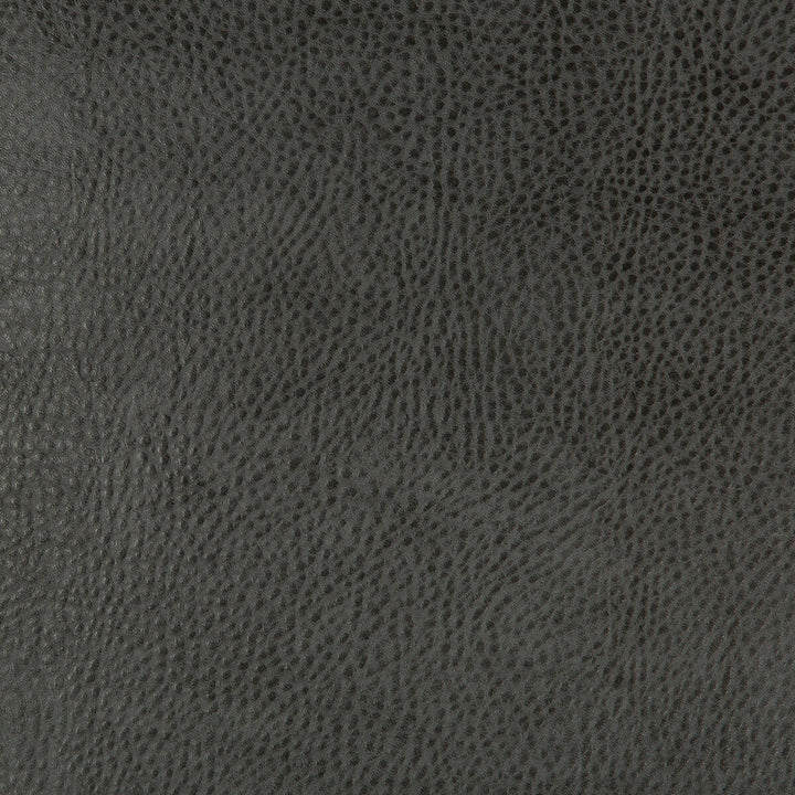 Beholder-21 by Kravet Design Designer Fabric POLY VINYL CHLORIDE - 79%;POLYESTER - 21% China HEAVY Horizontal: 0 and Vertical: 0 54 - Swanky Fabrics -
