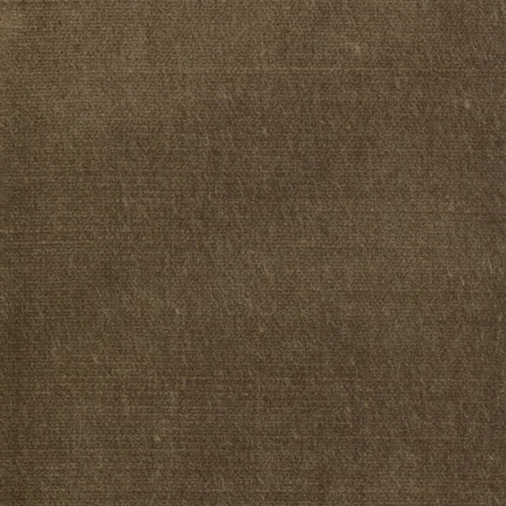 Belgium 12 Cappuccino by Stout Fabric REMINISCENT VELVET 68%SVI 32%POL INDIA FLAME RETARDANT-U.F.A.C. CLASS 1 FLAME RETARDANT-N.F.P.A. 260A CLASS 1 CATB 117-2013 WYZENBEEK 300 000 DOUBLE RUB TEST (HEAVY DUTY) Horizontal: 0 and Vertical: 0 55 in - Fabric Carolina -