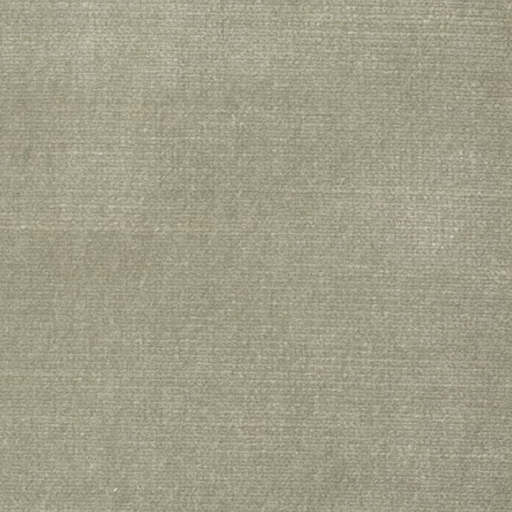 Belgium 13 Toast by Stout Fabric Stout Fabric Belgium 13 ToastFabric REMINISCENT VELVET INDIA </p><p>Repeat: H: 0.000, V: 0.000 55 in - Fabric Carolina -
