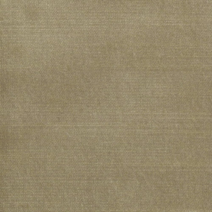 Belgium 17 Burlap by Stout Fabric Stout Fabric Belgium 17 BurlapFabric Reminiscent Velvet 68%Svi 32%Pol India </p><p>Repeat: H: 0, V: 1.5 55 in - Fabric Carolina -