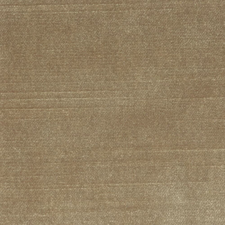 Belgium 1 Sandstone by Stout Fabric REMINISCENT VELVET 68%SVI 32%POL INDIA FLAME RETARDANT-U.F.A.C. CLASS 1 FLAME RETARDANT-N.F.P.A. 260A CLASS 1 CATB 117-2013 WYZENBEEK 300 000 DOUBLE RUB TEST (HEAVY DUTY) Horizontal: 0 and Vertical: 0 55 in - Fabric Carolina -