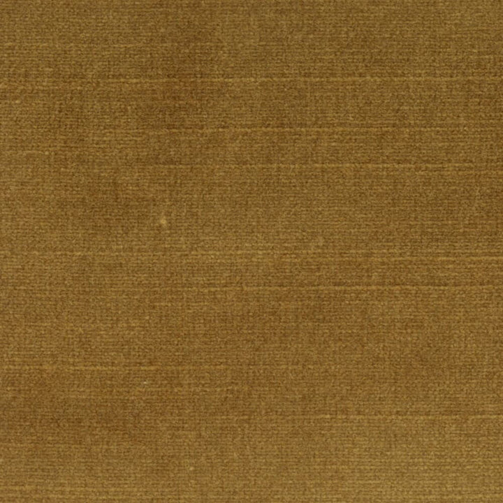 Belgium 33 Oldgold by Stout Fabric REMINISCENT VELVET 68%SVI 32%POL INDIA FLAME RETARDANT-U.F.A.C. CLASS 1 FLAME RETARDANT-N.F.P.A. 260A CLASS 1 CATB 117-2013 WYZENBEEK 300 000 DOUBLE RUB TEST (HEAVY DUTY) Horizontal: 0 and Vertical: 0 55 in - Fabric Carolina -