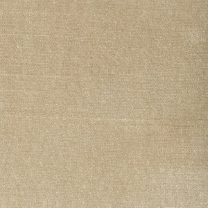 Belgium 3 Champagne by Stout Fabric